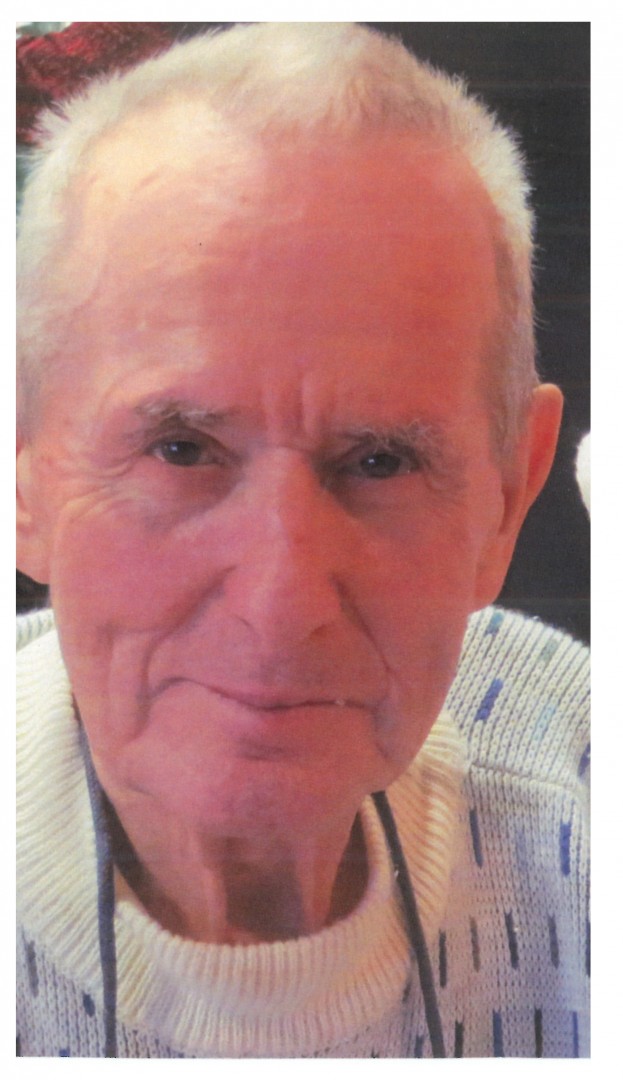 Georges-André Langlois