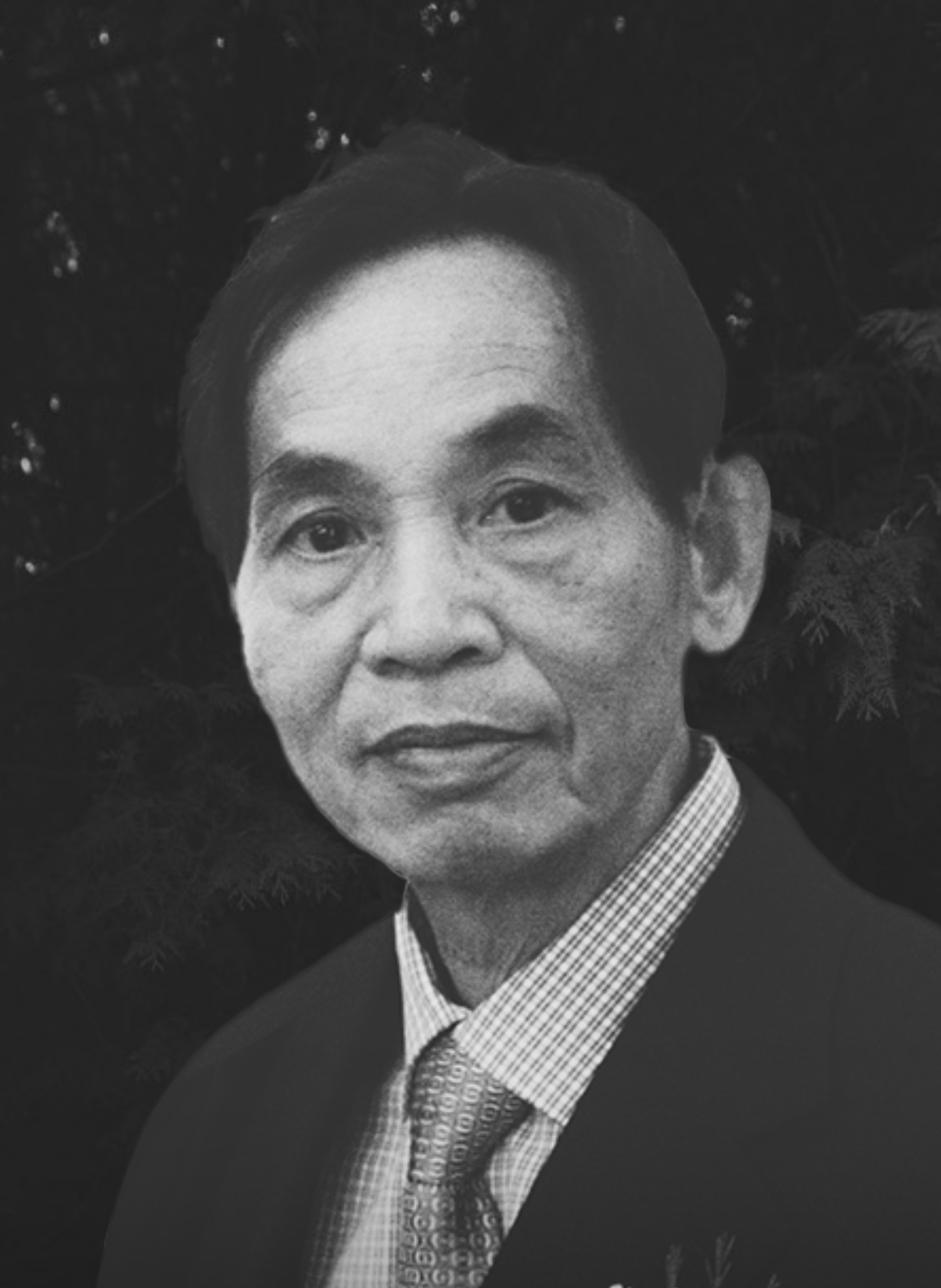 Din-Sai Raymond HUM - 譚 殿 壐