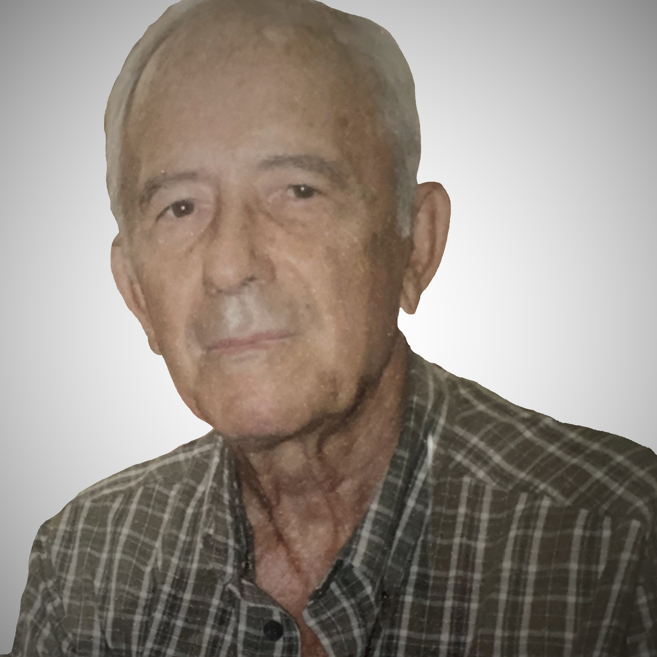 George THEODOROPOULOS