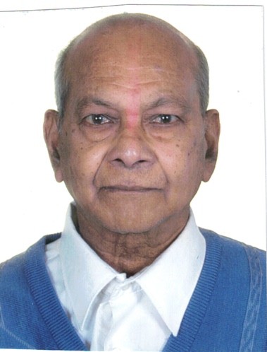 Ramanbhai PATEL
